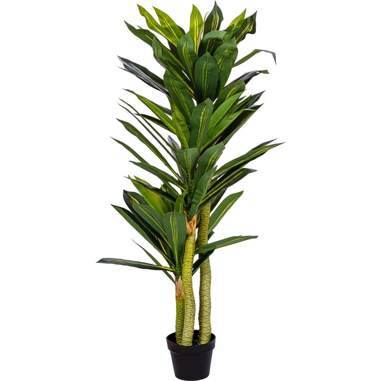 PLANTASIA Umělý strom Dracaena 120 cm