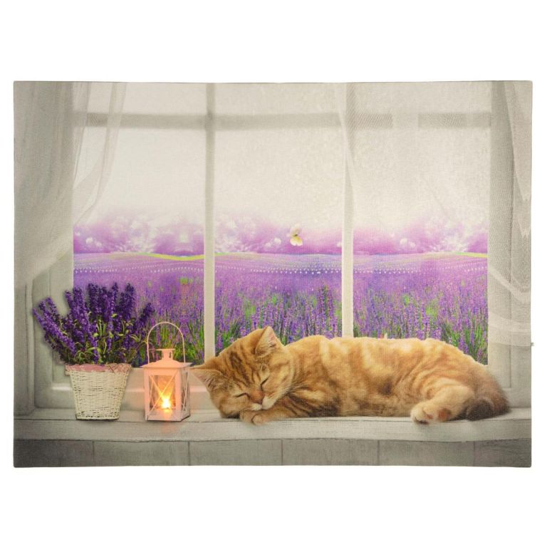 Nástěnná malba Kočka na okně
