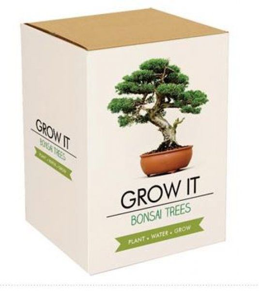 Grow it - Bonsai Kokiska