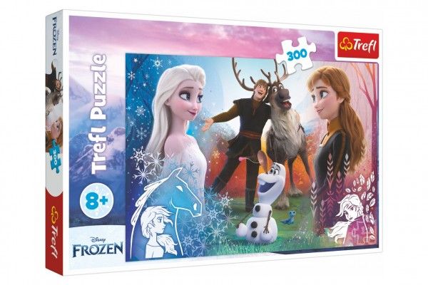 Puzzle Ledové království/Frozen 300dílků 60x40cm v krabici 40x27x4cm Teddies