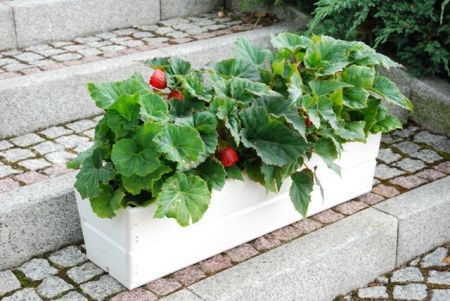 Dřevěný truhlík na květiny - 44 cm