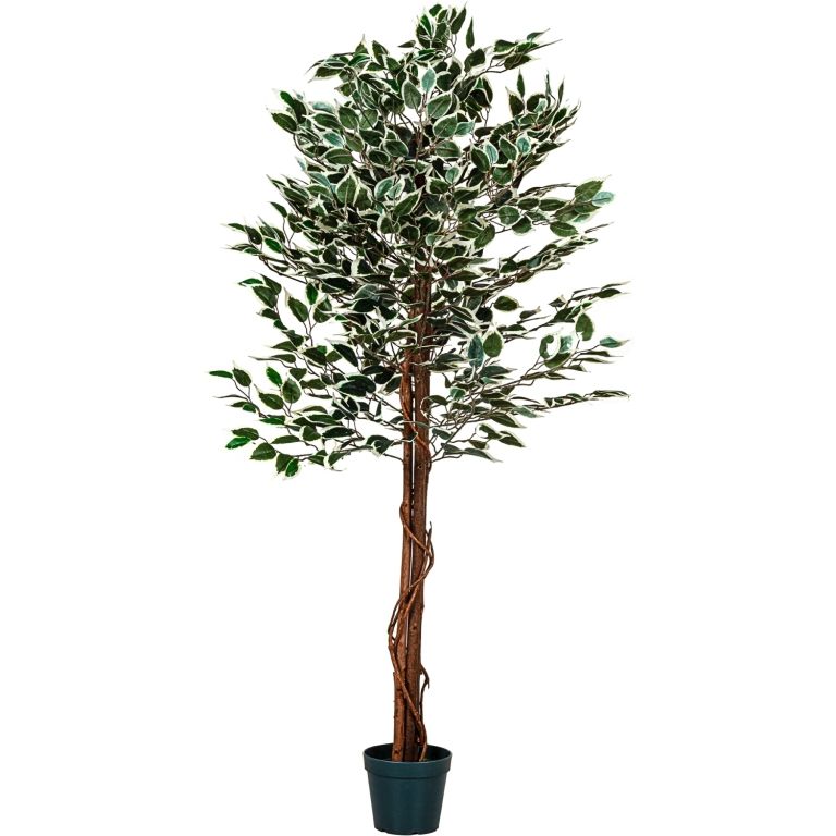 PLANTASIA 27406 Umělý strom rostlina - fíkus - 160 cm PLANTASIA
